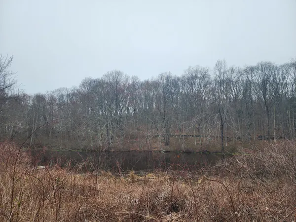 a view of car parked on road with trees
