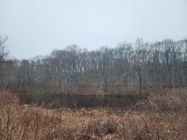 a view of yard covered with snow