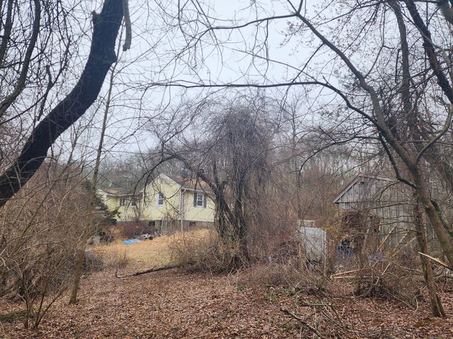 a view of a dry yard with trees
