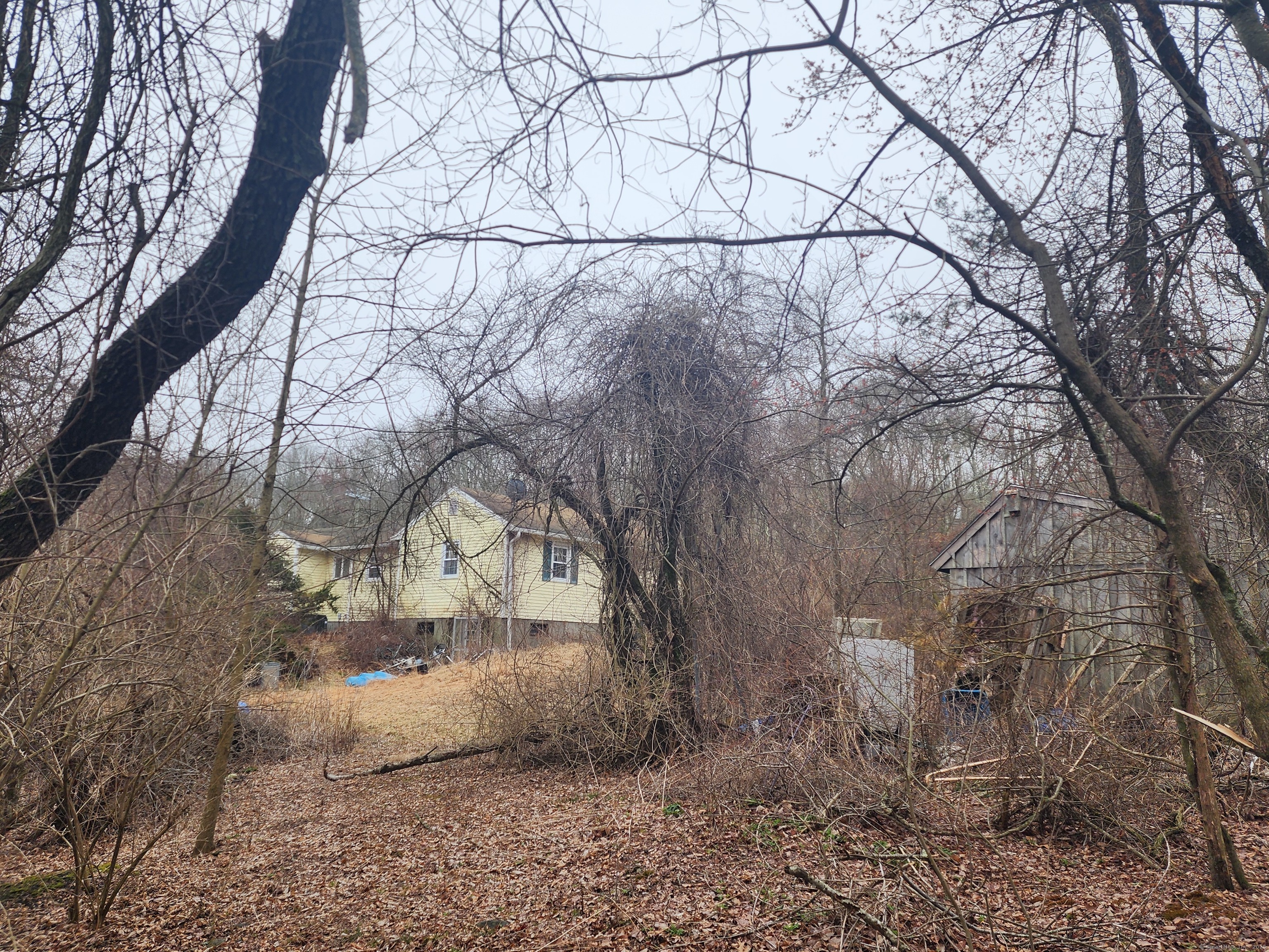 576 Voluntown Road Griswold, CT 06351 - Photo 5 of 15 a view of yard covered with snow