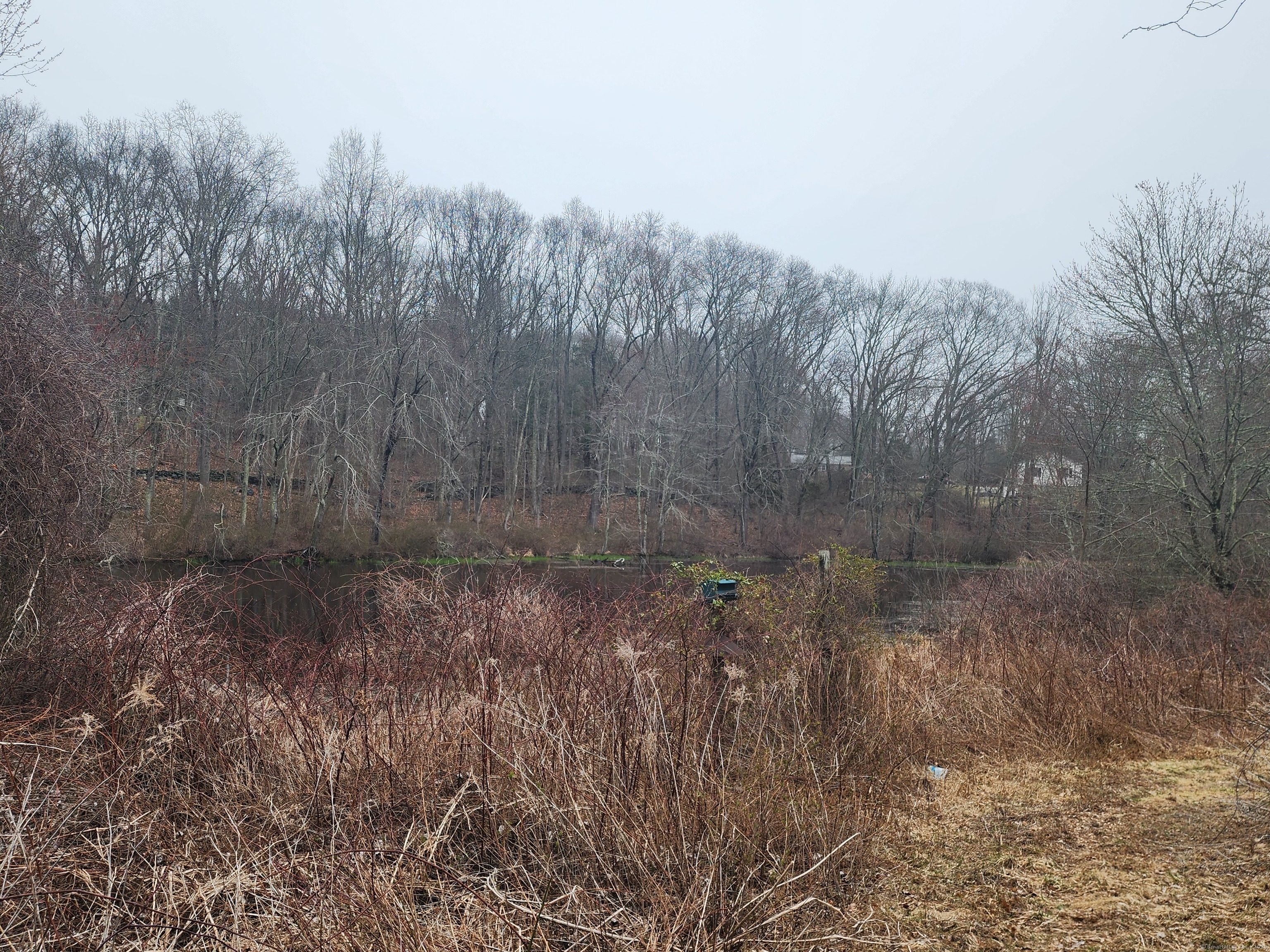 576 Voluntown Road Griswold, CT 06351 - Photo 8 of 15 a view of a dry yard