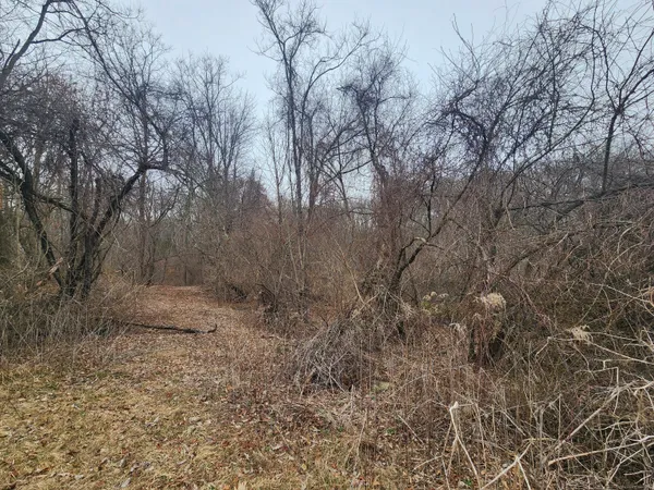 a view of a house with a yard and wooden fence