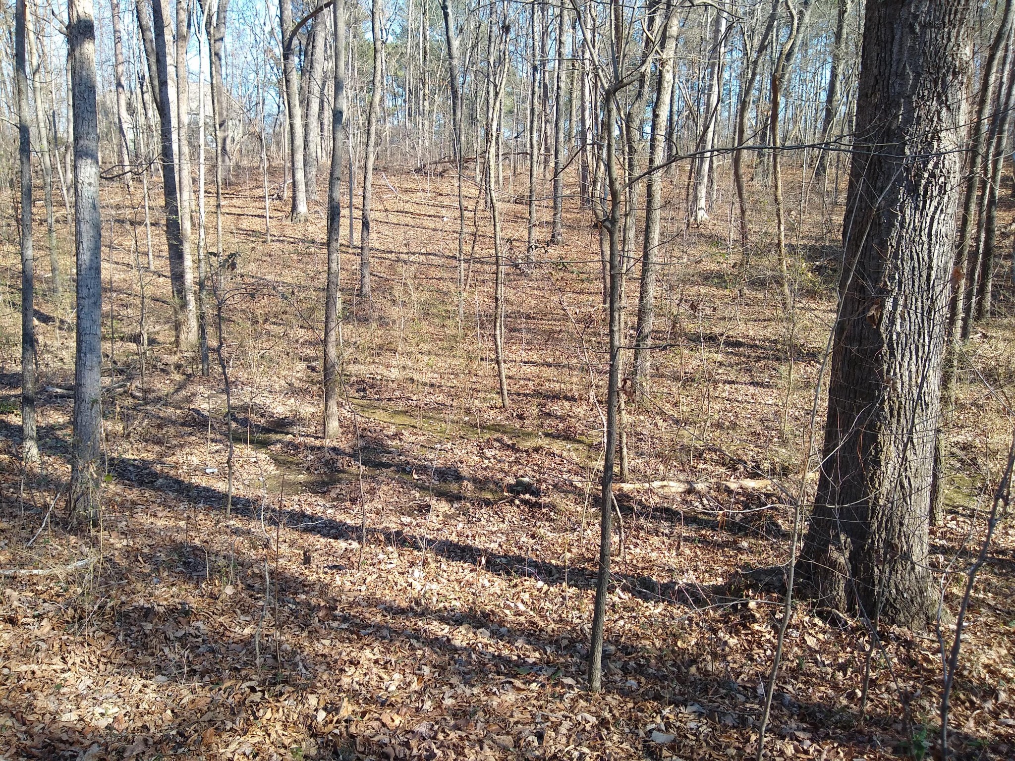 0 Smitherman Road Ringgold, GA 30736 - Photo 6 of 8 Gallery Image 6