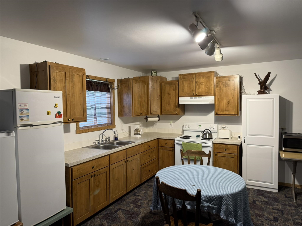 5240 West 4 Mile Road Irons, MI 49644 - Photo 9 of 14