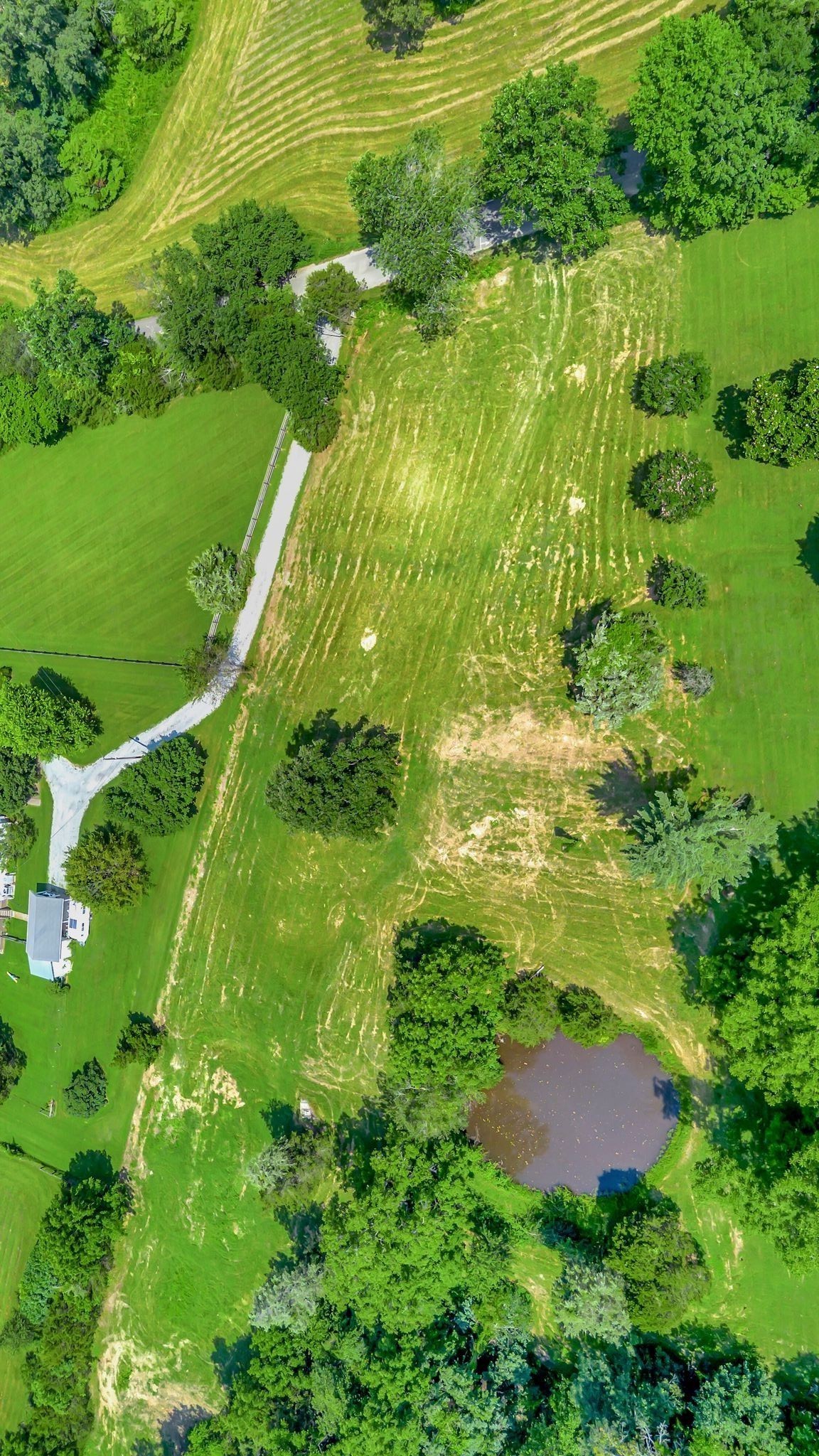 0 Camp Ravine Road Burns, TN 37029 - Photo 2 of 5