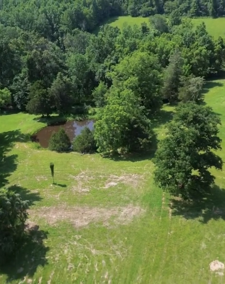 0 Camp Ravine Road Burns, TN 37029 - Photo 5 of 5