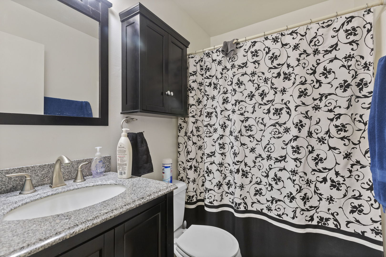 58 Vail Colony, Unit 10 Fox Lake, IL 60020 - Photo 11 of 28 a bathroom with a granite countertop toilet a sink and a mirror