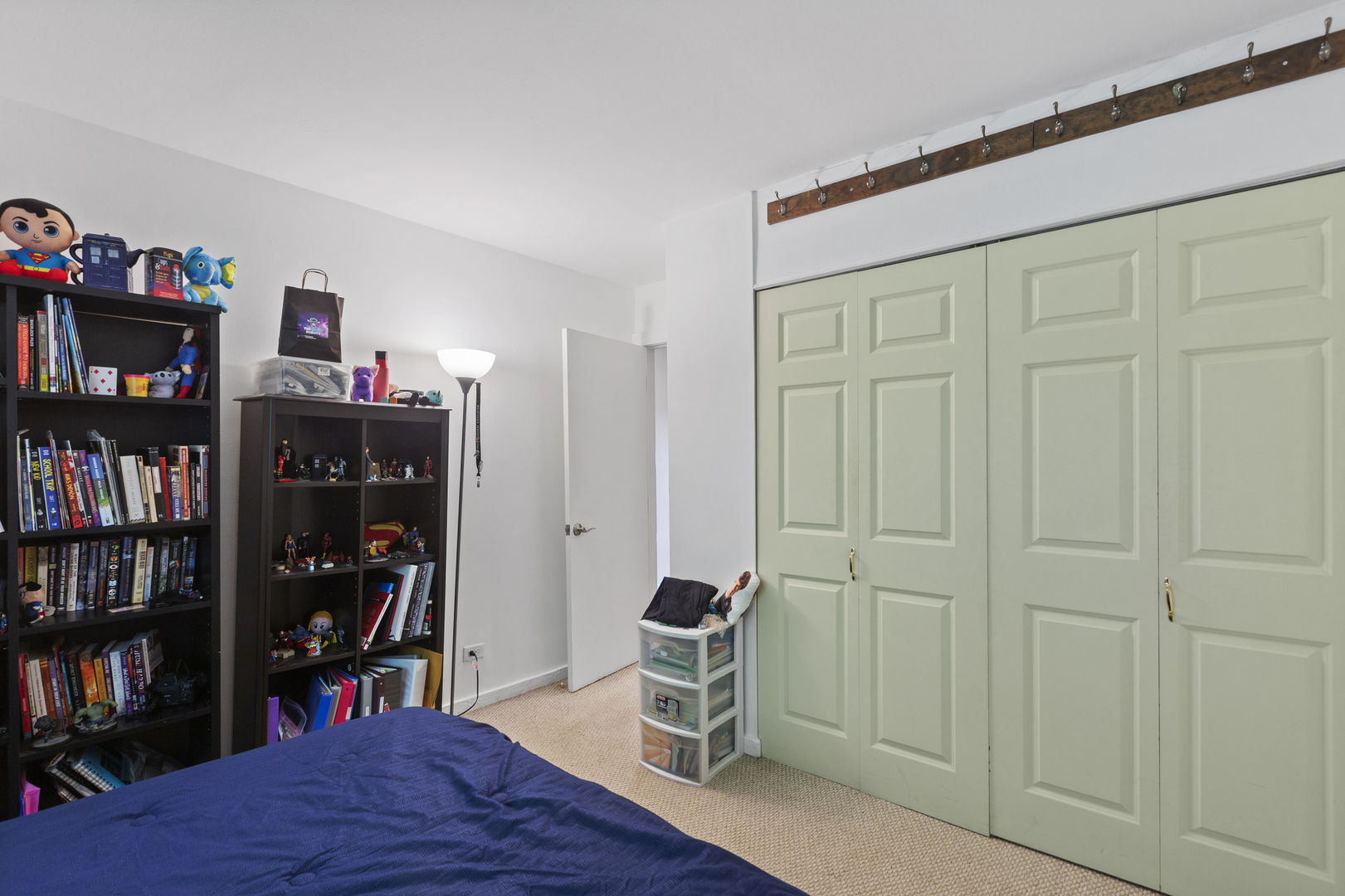 58 Vail Colony, Unit 10 Fox Lake, IL 60020 - Photo 14 of 28 a view of a livingroom with shelves