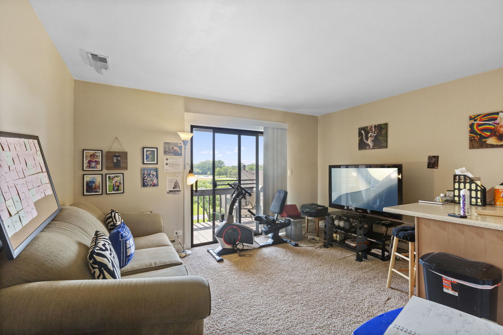 58 Vail Colony, Unit 10 Fox Lake, IL 60020 - Photo 8 of 28 a living room with furniture a rug and a large window