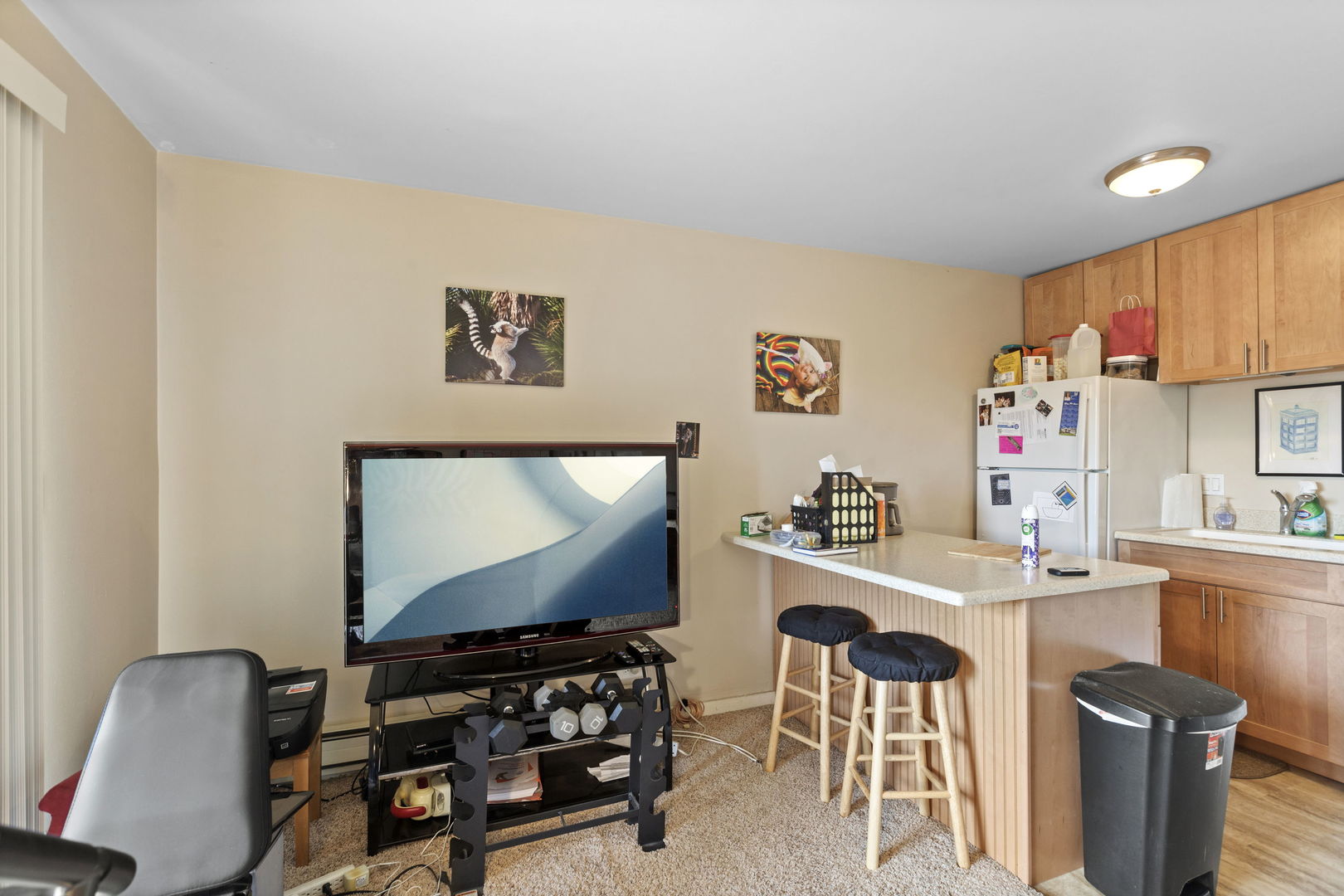 58 Vail Colony, Unit 10 Fox Lake, IL 60020 - Photo 9 of 28 a room with furniture a flat screen tv and a window