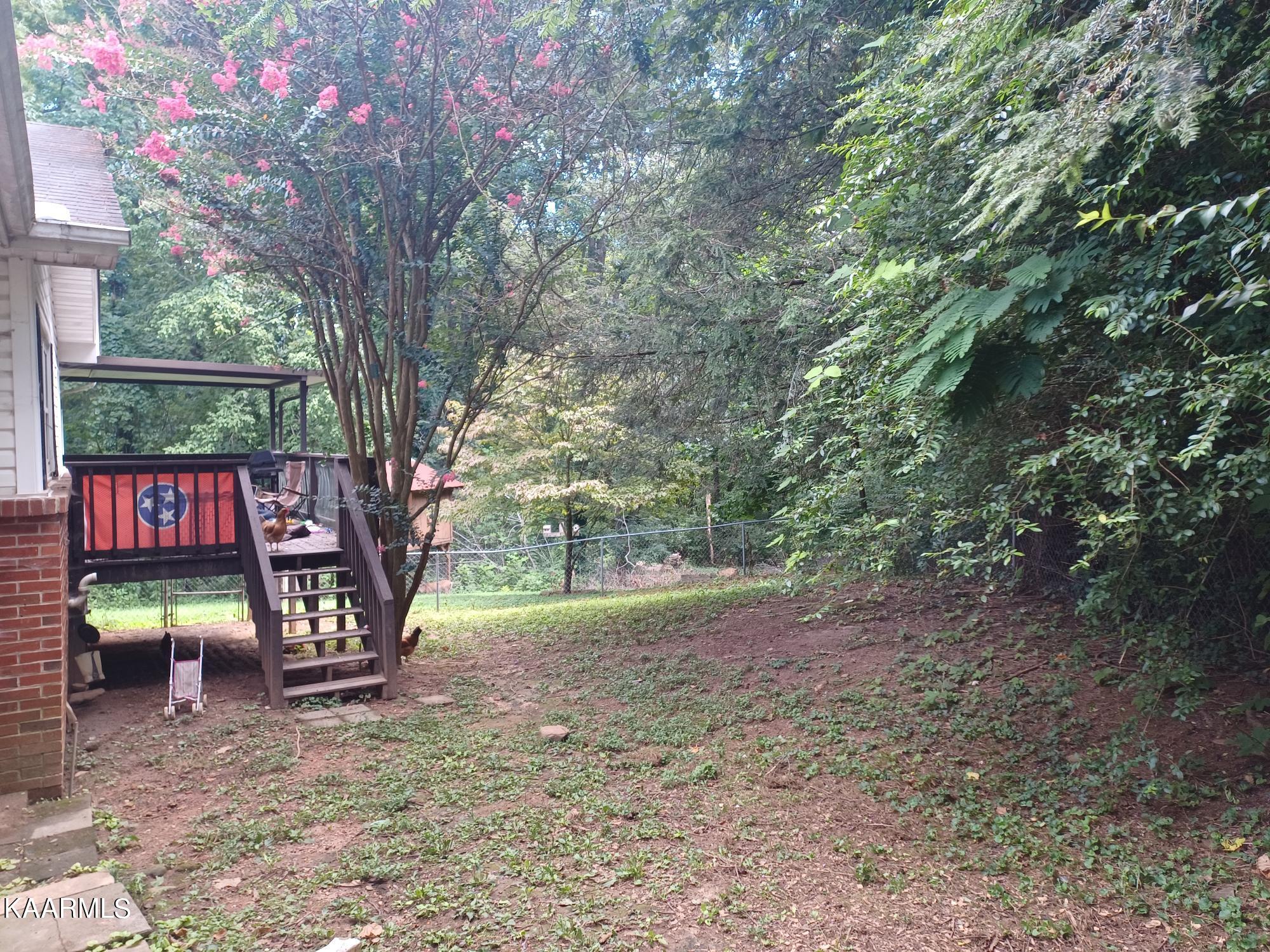 45 Outer Drive Oak Ridge, TN 37830 - Photo 12 of 18 large back yard