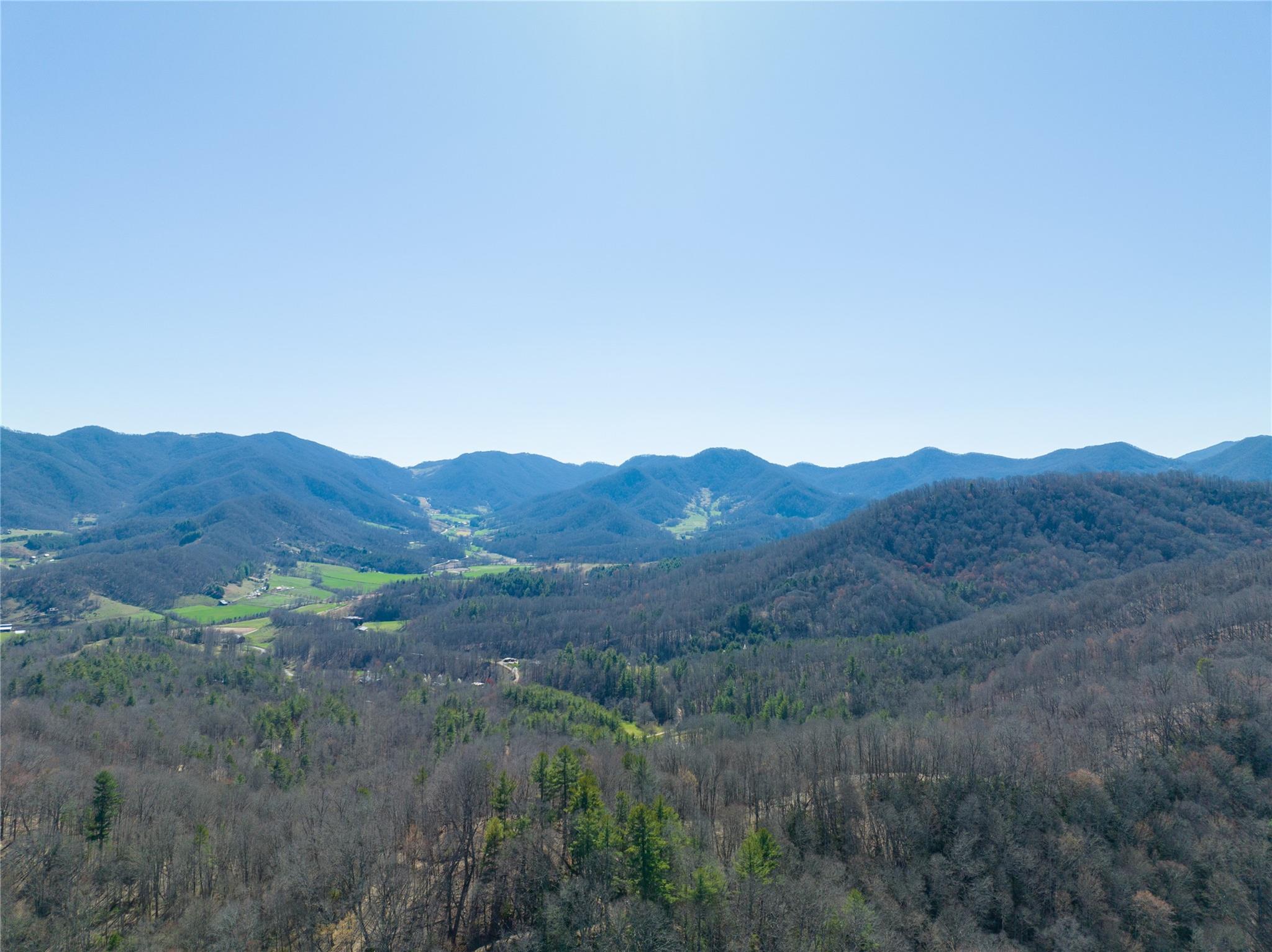 1088 Clarks Branch Road Leicester, NC 28748 - Photo 1 of 8 Gallery Image 1