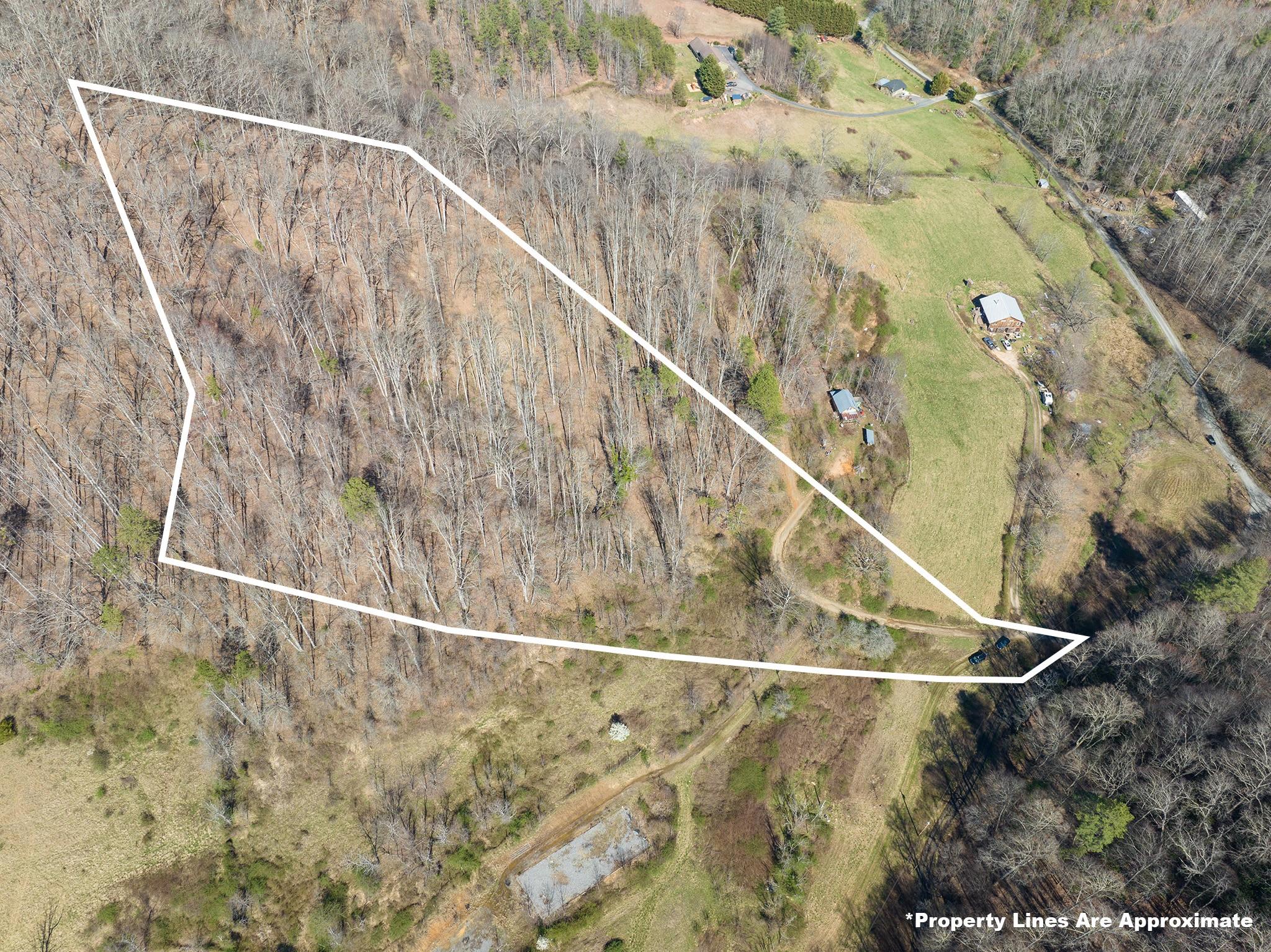 1088 Clarks Branch Road Leicester, NC 28748 - Photo 2 of 8 Gallery Image 2