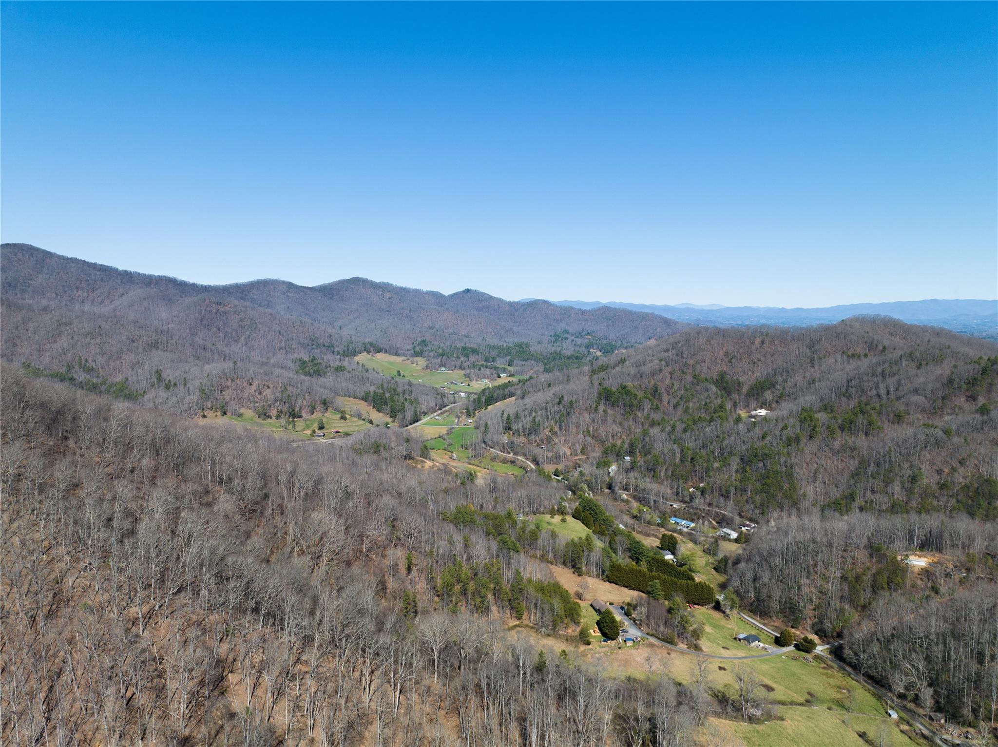1088 Clarks Branch Road Leicester, NC 28748 - Photo 3 of 8 Gallery Image 3