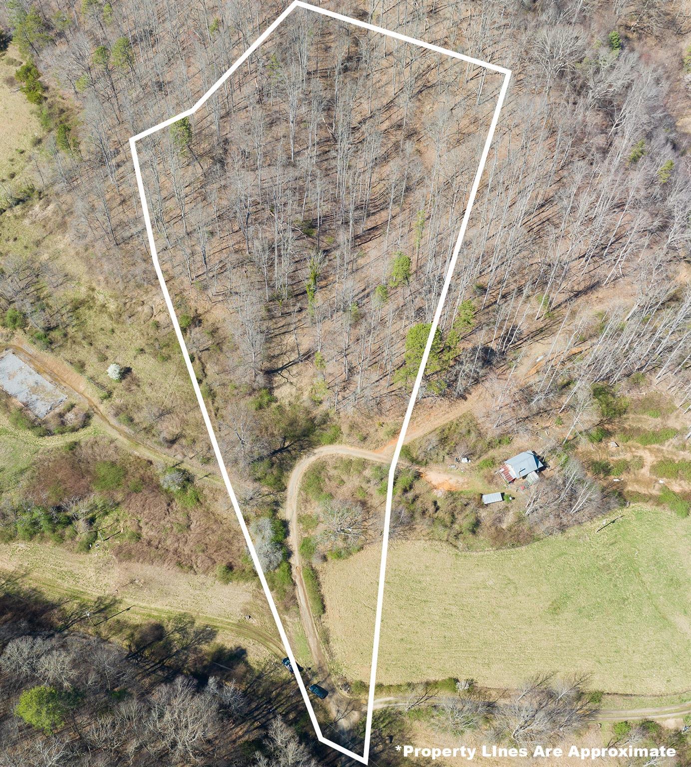 1088 Clarks Branch Road Leicester, NC 28748 - Photo 4 of 8 Gallery Image 4