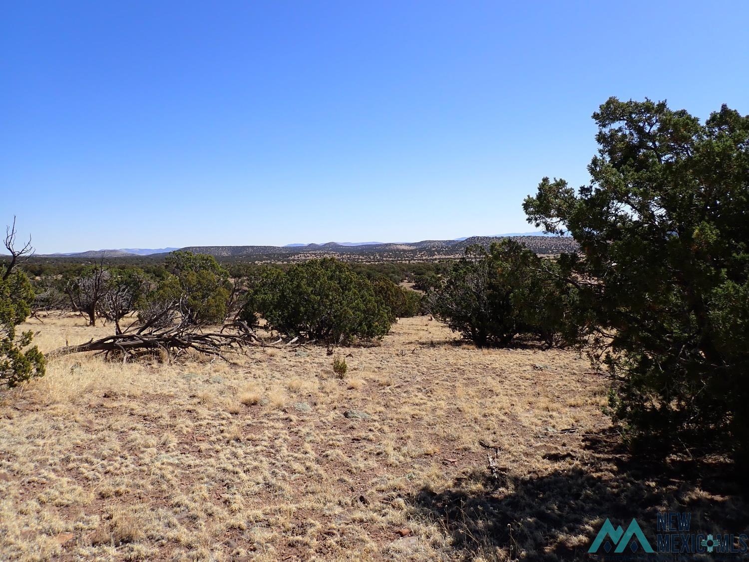 Xx Tanglewood Circle Datil, NM 87821 - Photo 2 of 18 View of nature with rural landscape