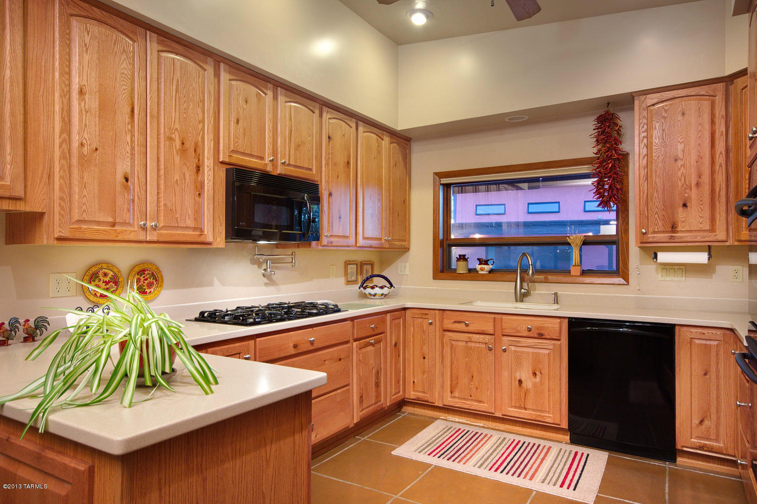 1290 West Panorama Road Tucson, AZ 85704 - Photo 19 of 31 Gallery Image 19