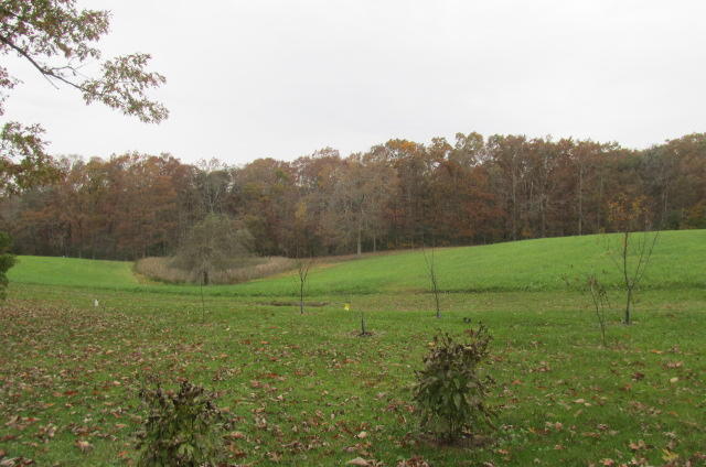 1701 Hall Road Clarkrange, TN 38553 - Photo 13 of 20 hall road 186