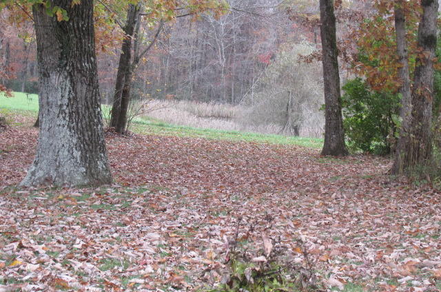 1701 Hall Road Clarkrange, TN 38553 - Photo 15 of 20 hall road 177