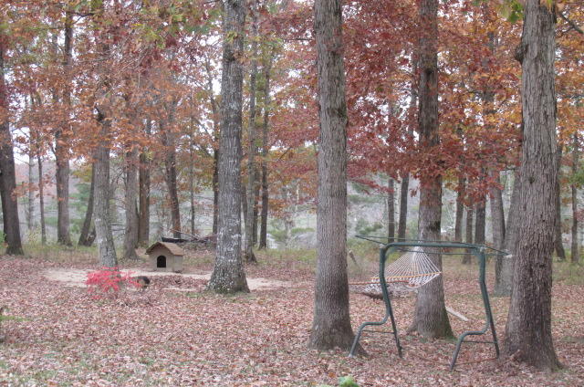 1701 Hall Road Clarkrange, TN 38553 - Photo 16 of 20 hall road 178
