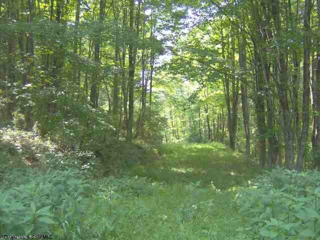0 Spruce Fork Road Buckhannon, WV 26201 - Photo 15 of 15 Gallery Image 15