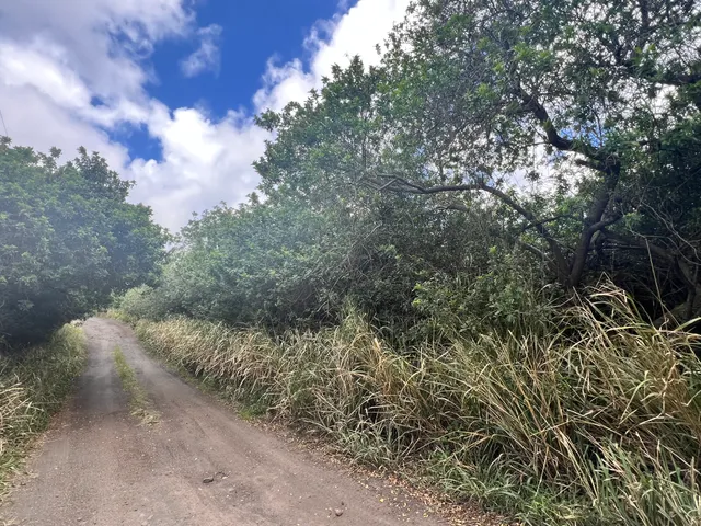 $75,000 | 5 Kekuhaupio Road, Naalehu, HI 96772