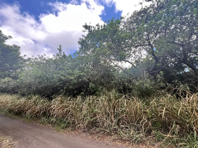 $75,000 | 5 Kekuhaupio Road, Naalehu, HI 96772