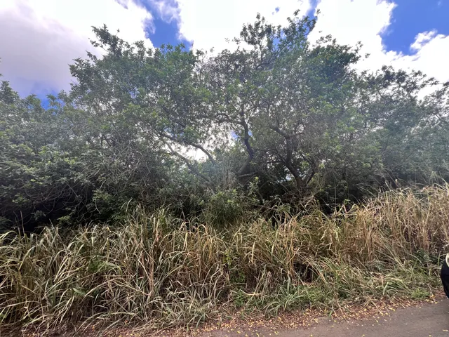 $75,000 | 5 Kekuhaupio Road, Naalehu, HI 96772