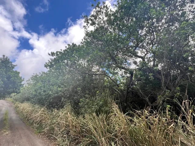 $75,000 | 5 Kekuhaupio Road, Naalehu, HI 96772