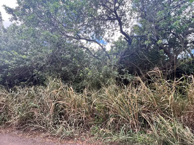 $75,000 | 5 Kekuhaupio Road, Naalehu, HI 96772