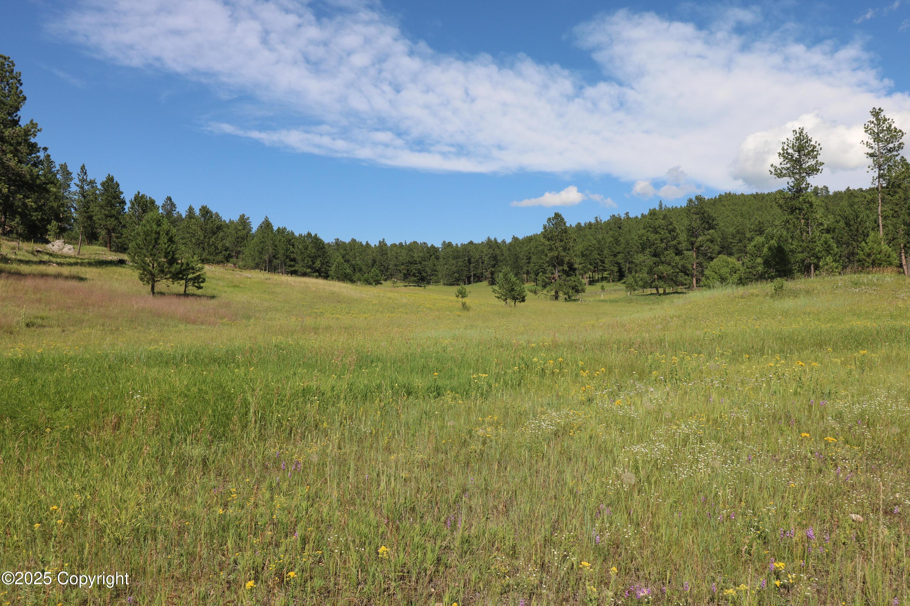 Tbd Tbd Reynolds Road Sundance, WY 82729 - Photo 19 of 53 Gallery Image 19