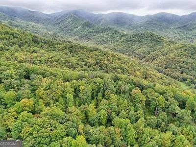 a view of a lush green forest with trees and houses