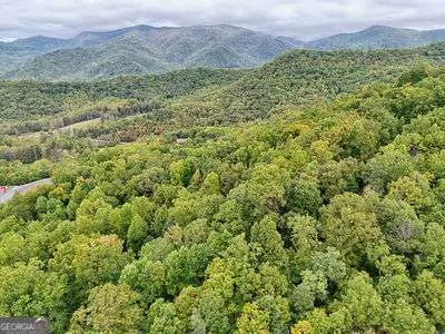 a view of a lush green field with a mountain in the background