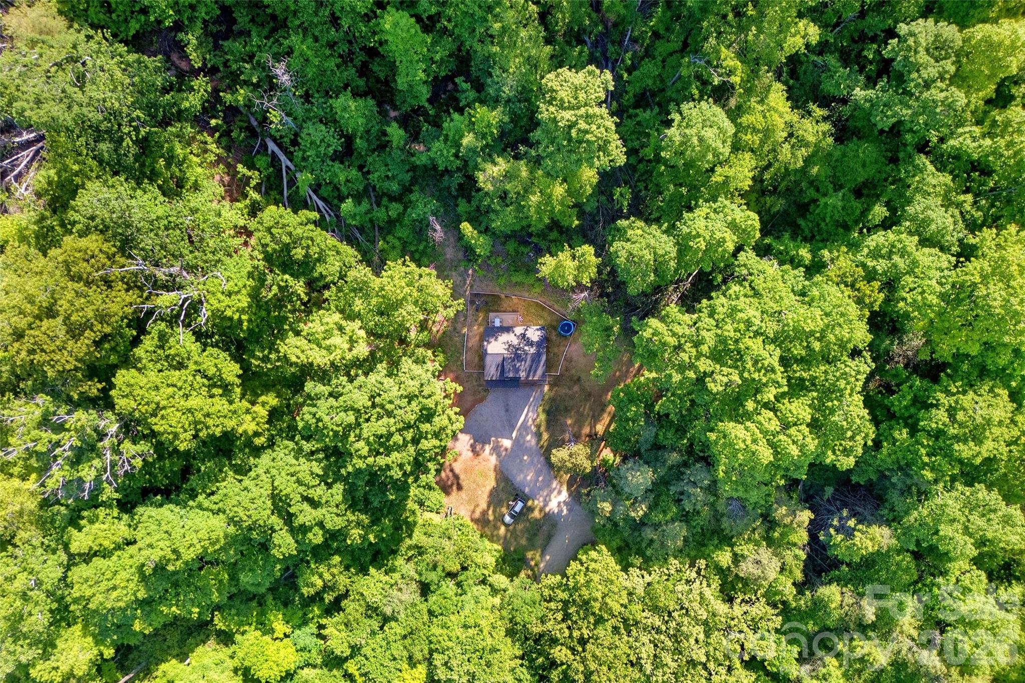 215 David Rdg Road Black Mountain, NC 28711 - Photo 46 of 48