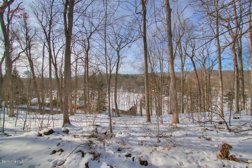 27 A Birch Road Copake, NY 12516 - Photo 12 of 16 a view of a park with trees