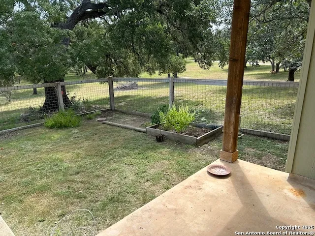 a view of a garden with a tree