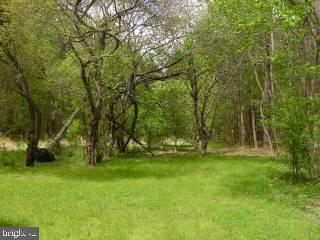 28044 Mt Vernon Road Princess Anne, MD 21853 - Photo 2 of 3
