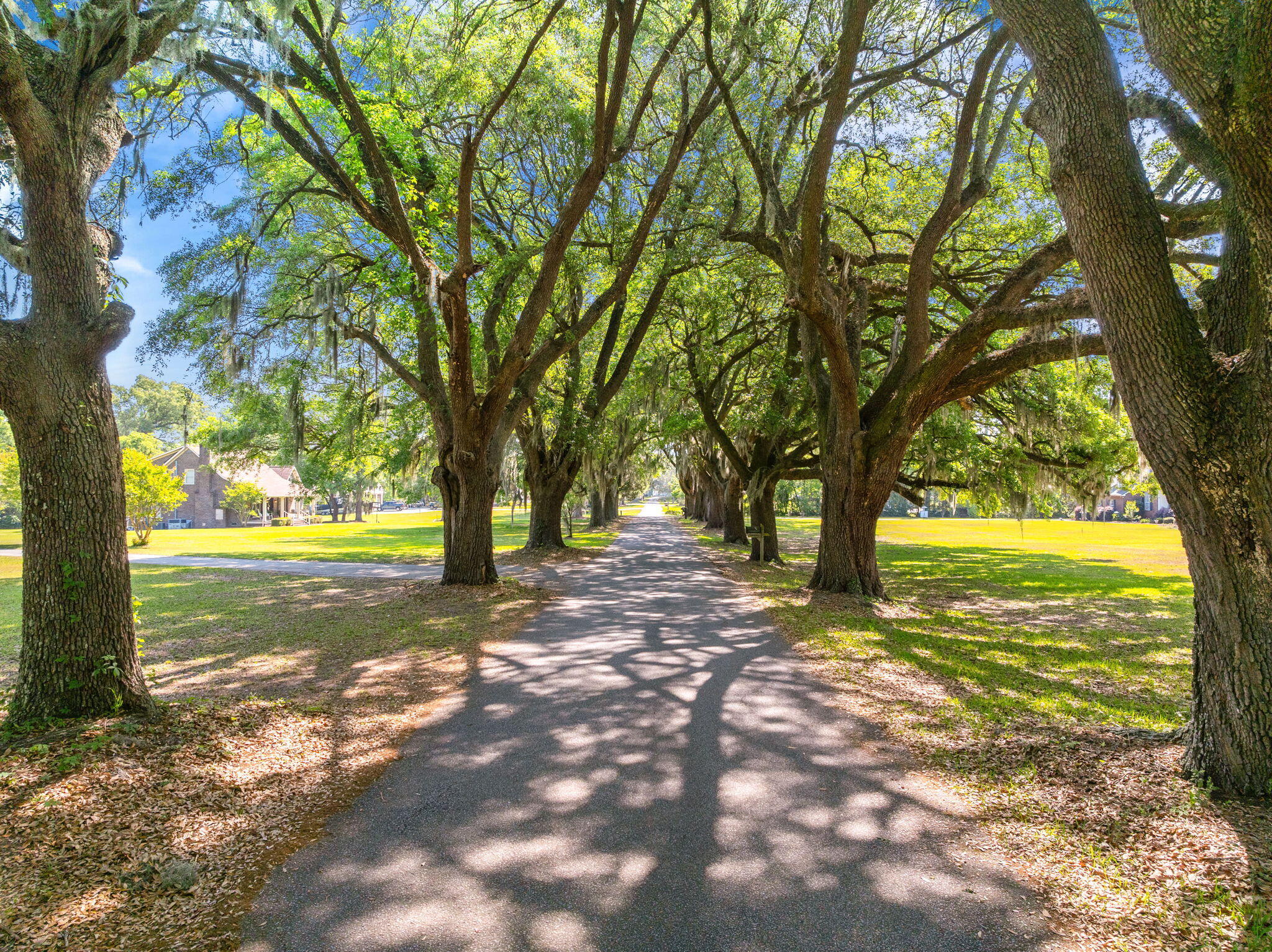 271 Dairy Farm Road Moncks Corner, SC 29461 - Photo 35 of 35 11-web-or-mls-BARCLAY MEDIA CO.-38