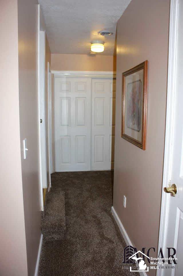 14638 Ida Center Road Petersburg, MI 49270 - Photo 17 of 30 Hallway lower level