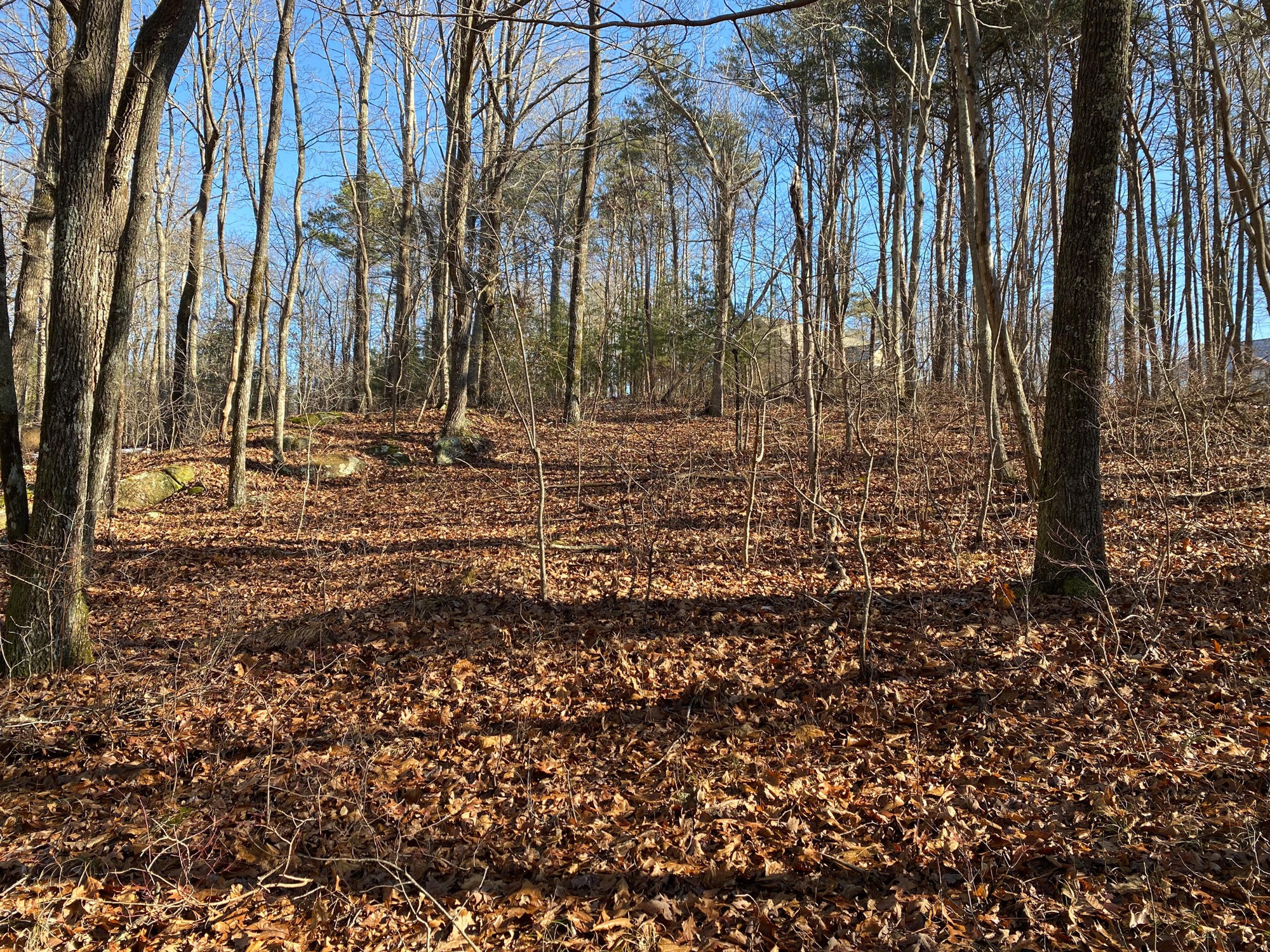 7 Lookout Drive Rising Fawn, GA 30738 - Photo 18 of 25