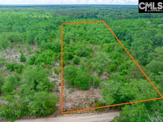 0 Seivern Road Wagener, SC 29164 - Photo 18 of 23