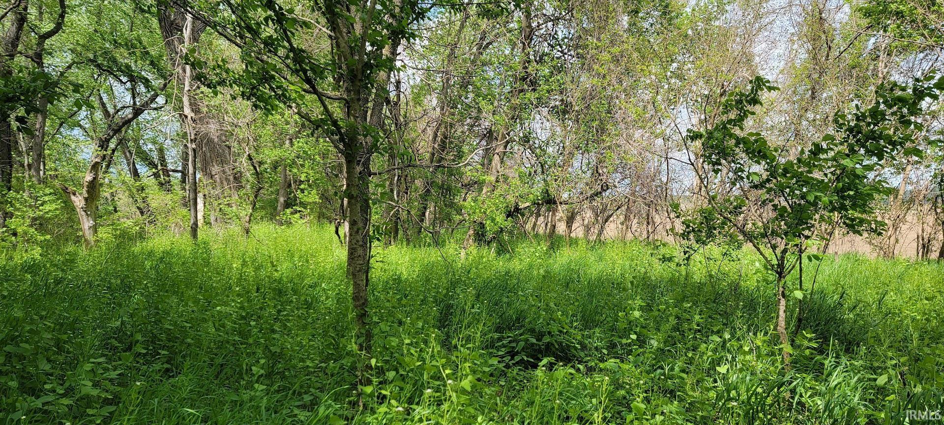 North Fire Station Road Bloomfield, IN 47424 - Photo 5 of 10