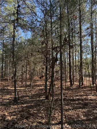 $37,000 | 257 Lakeview Lane, Cameron, NC 28326