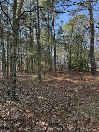 a view of a forest with trees
