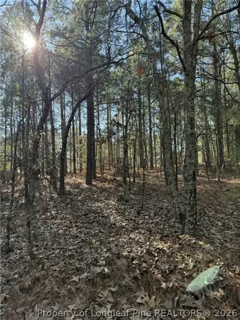 a view of outdoor space with lots of trees