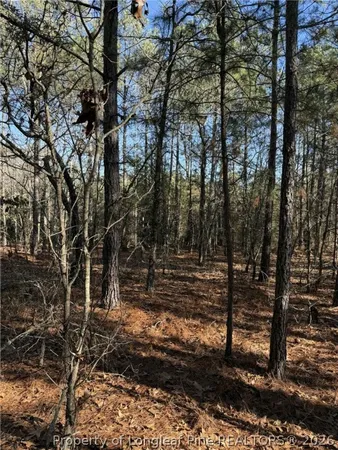 a view of a yard with wooden fence and trees
