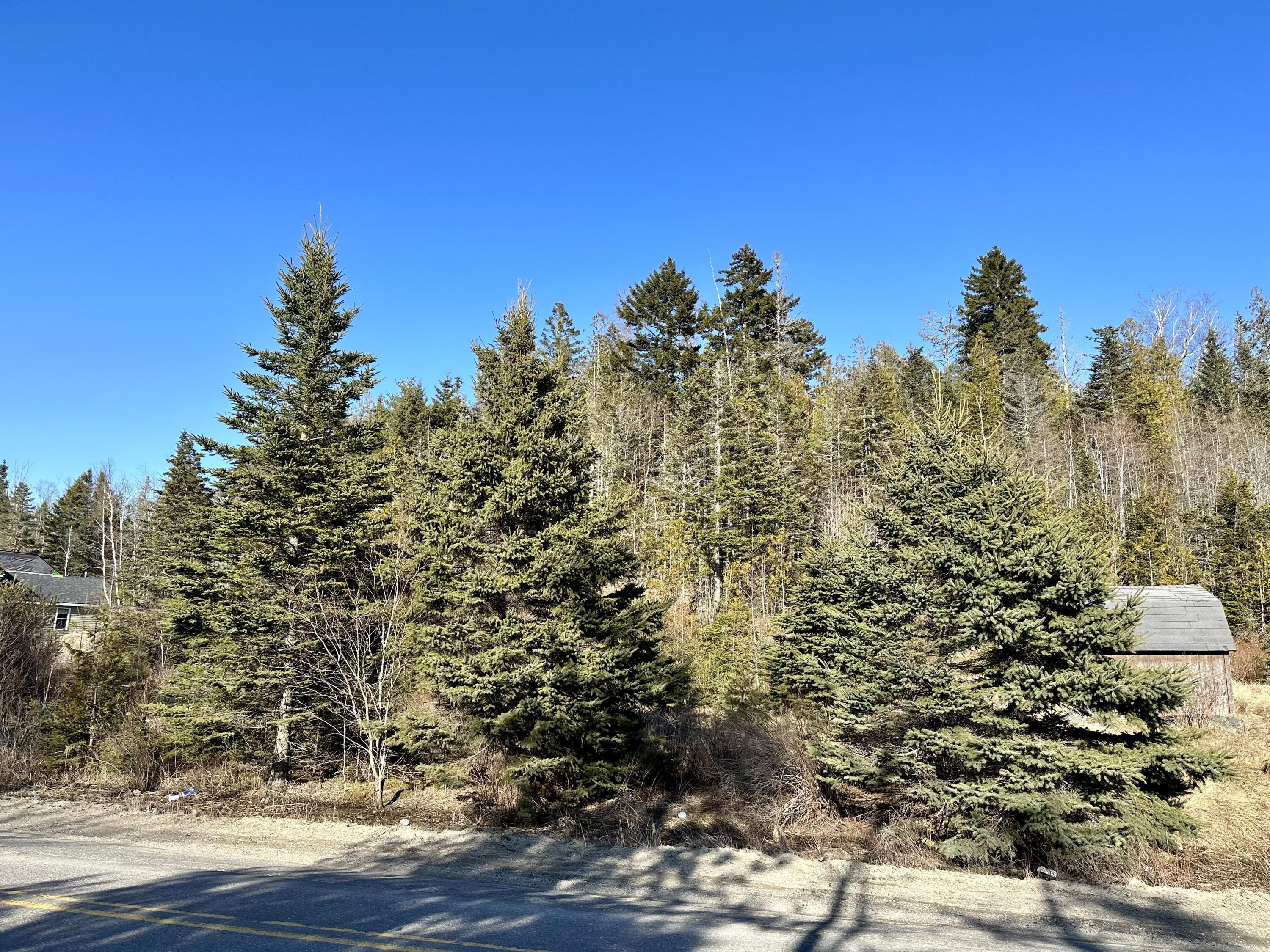 128 Kennebec Road Machias, ME 04654 - Photo 9 of 29 IMG_0380