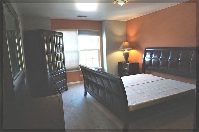 125 Rachel Road, Unit 505A Willow Springs, IL 60480 - Photo 14 of 27