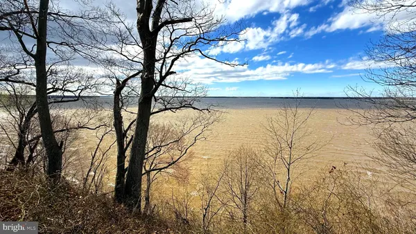 a front view of a house with a garden and trees