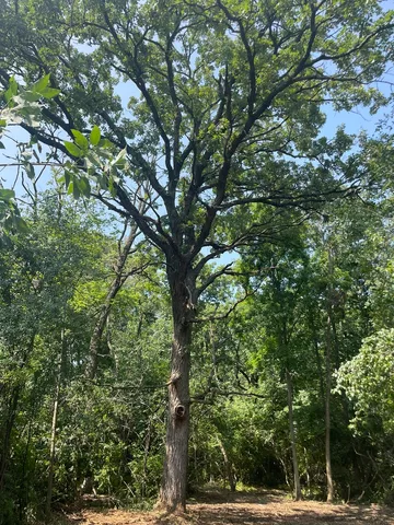 $545,220 | 41.94-acres Route 14, Harvard, IL 60033